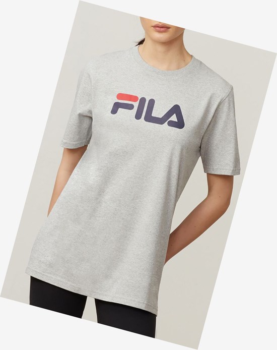 Fila Eagle Tee Lgrym/Peac/Cred | 56PZCTOGL