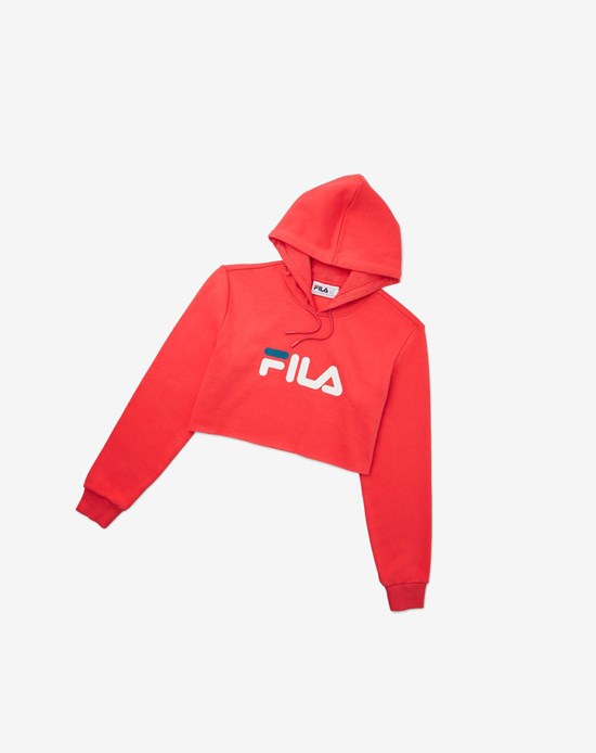 Fila Lalage Cropped Hoodie Blancas Azules | 58PWYEMTZ