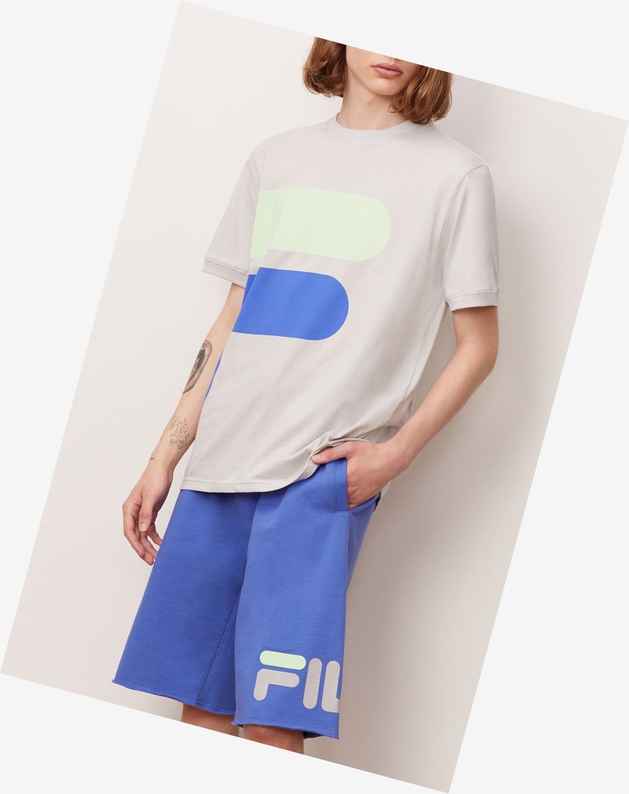 Fila Alvan Tee Qgry/Ampb/Pgrn | 10PZKTCRO