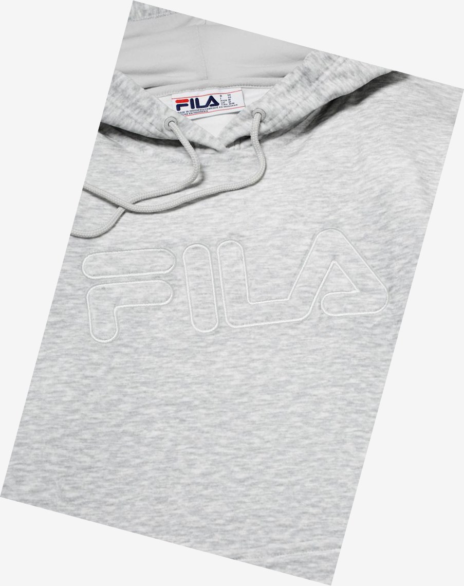 Fila Asher Velour Hoodie Gris Claro | 03IGHXOJM