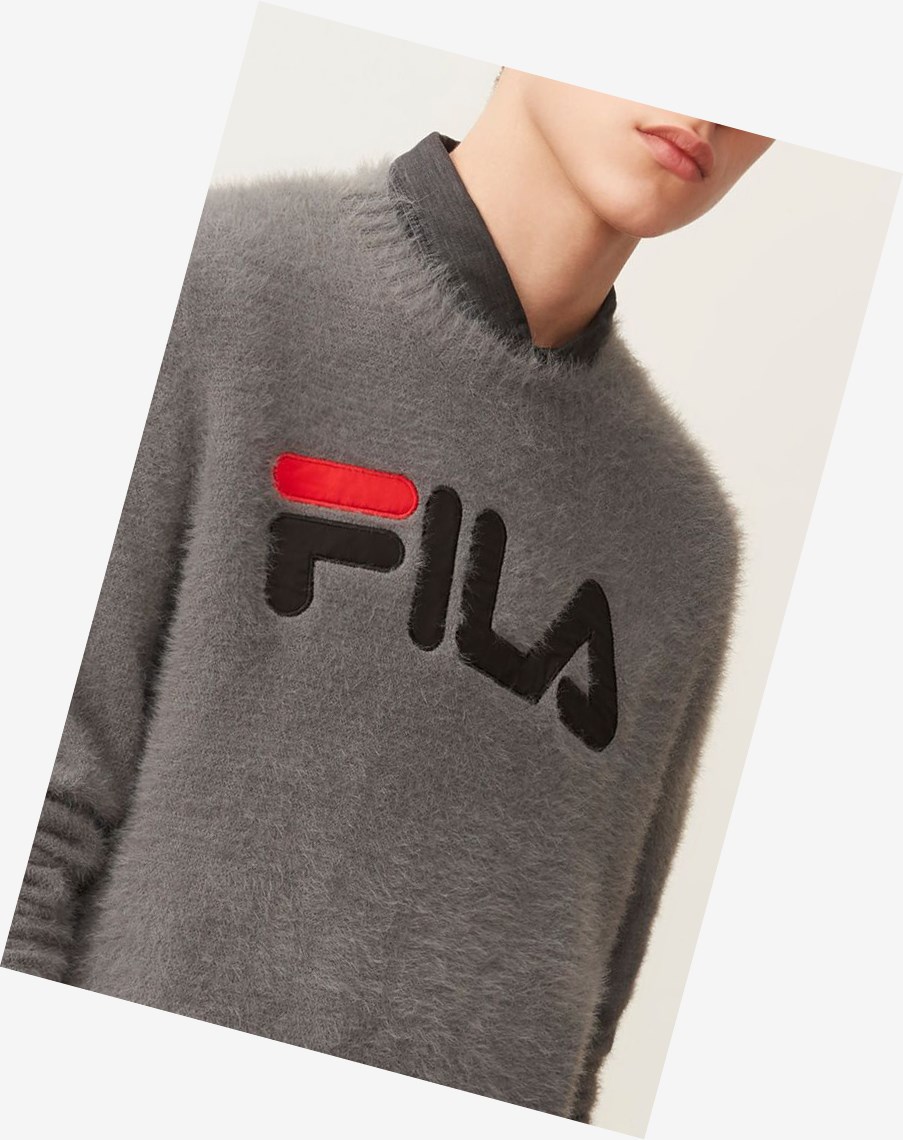 Fila Cash Sueter Lgrym/Wht/Cred | 16RJCHXVK