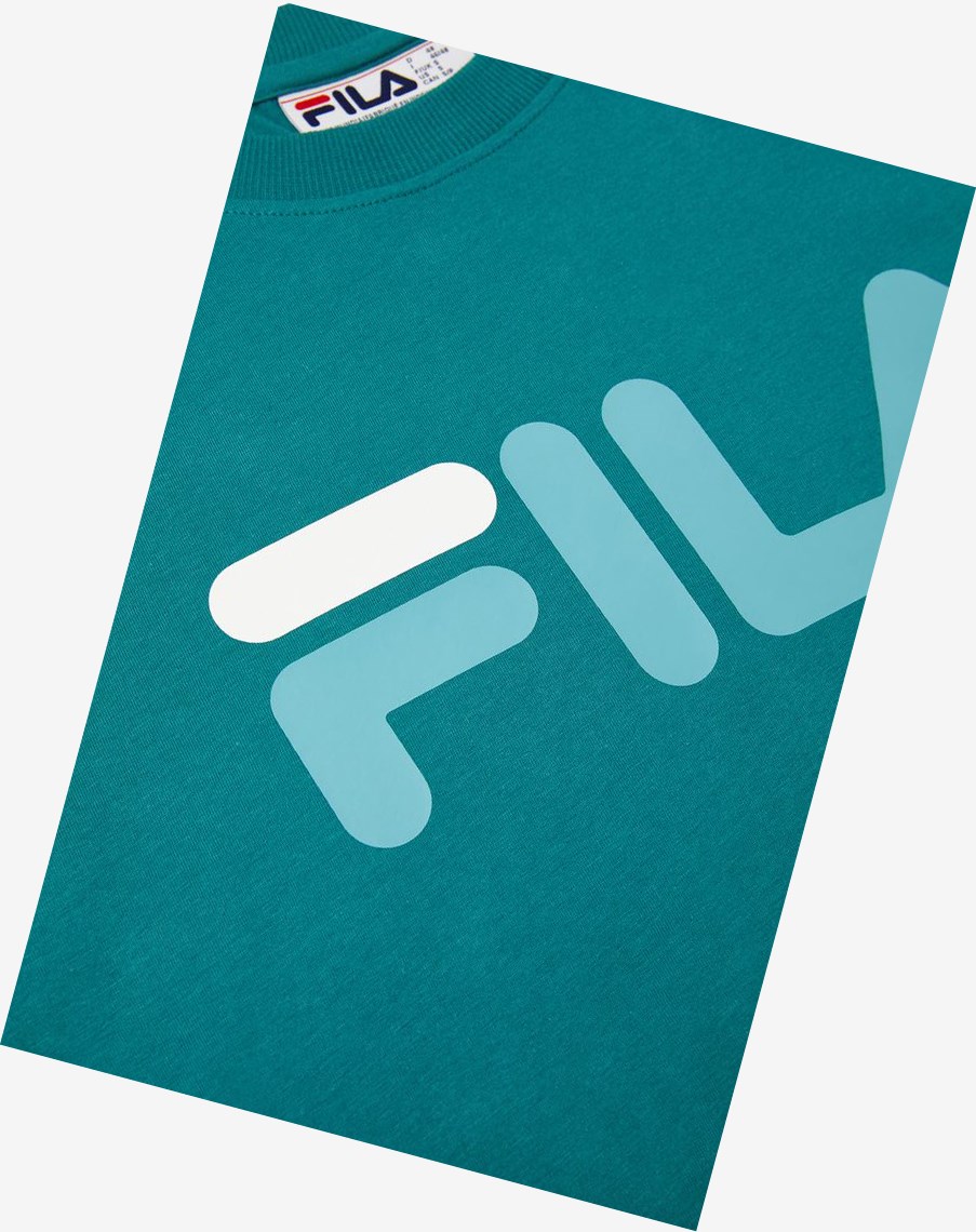 Fila Eagle Tee Paci/Dtrq/Wht | 14MUATNKG