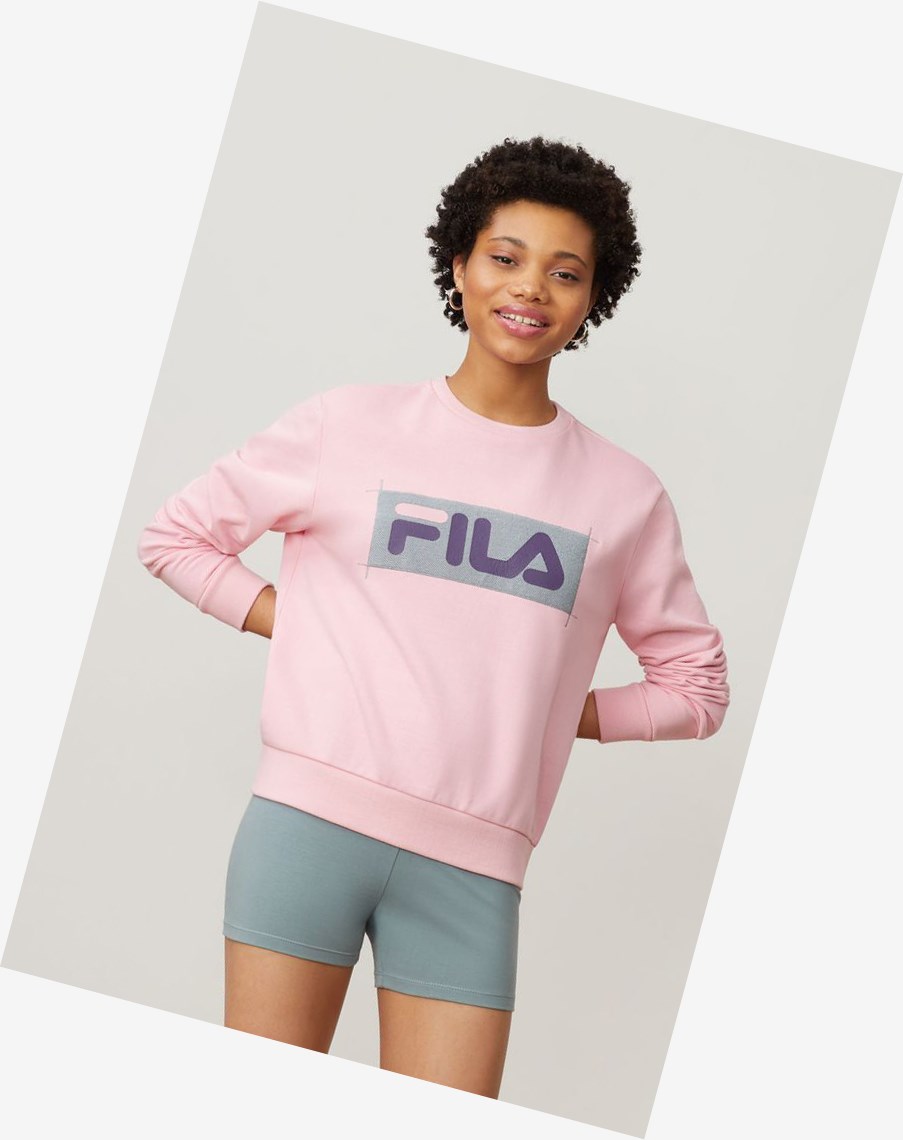 Fila Evelyn Sweatshirt Cpnk/Lead/Ggrp | 18BKAJEDM