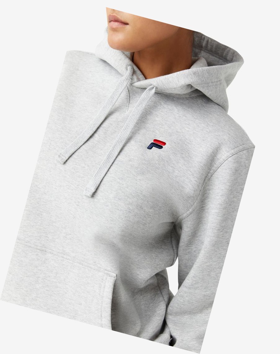 Fila Godfrey Hoodie Gris Claro | 04XRYTKIG