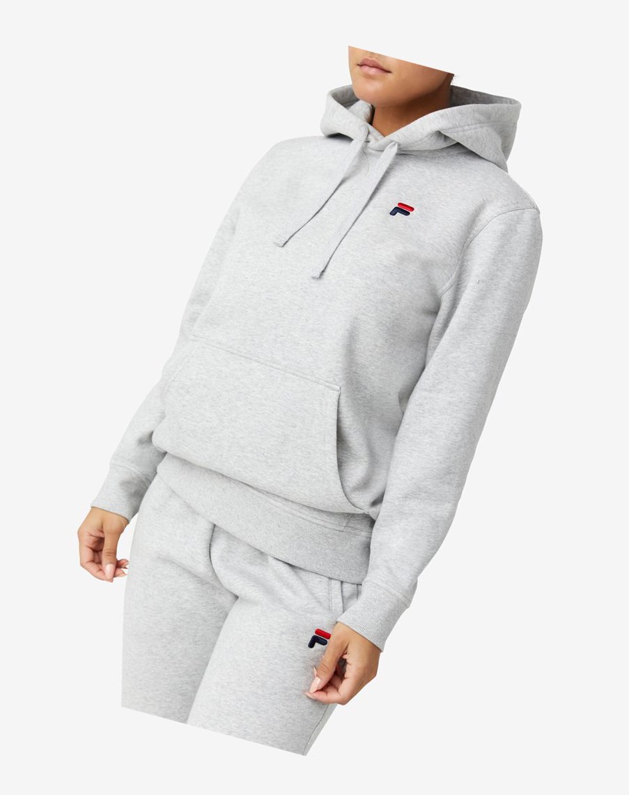 Fila Godfrey Hoodie Gris Claro | 04XRYTKIG