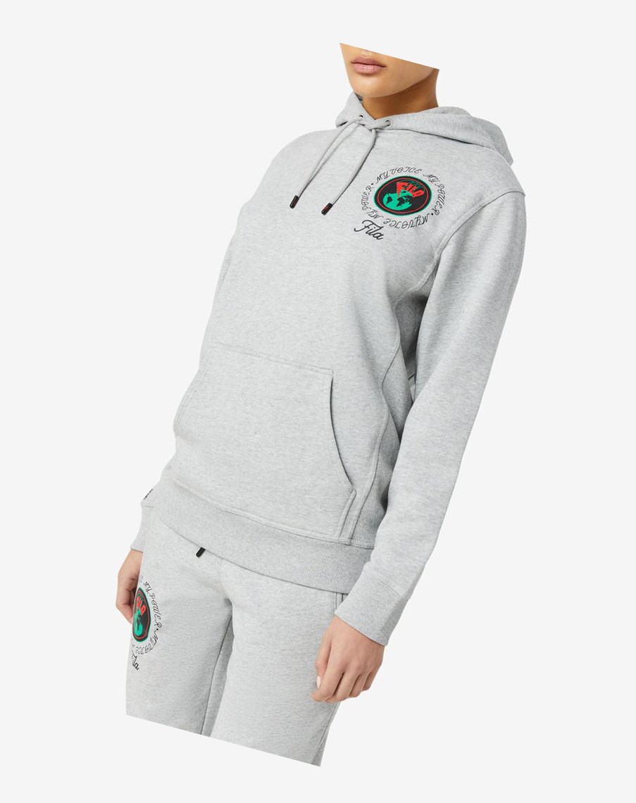 Fila Hunt Hoodie Gris | 34NHZOTMX