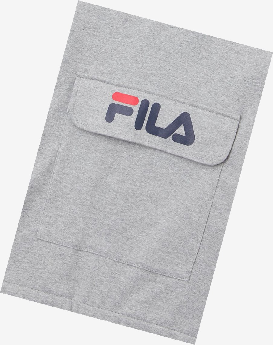 Fila James Hoodie Gris | 12OZQMNPS