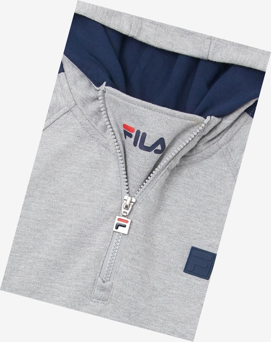 Fila James Hoodie Gris | 12OZQMNPS