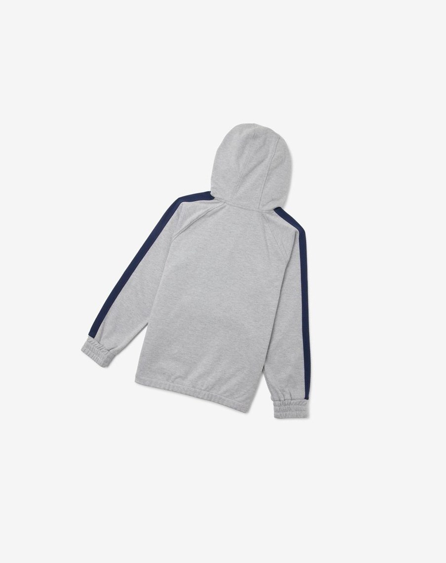 Fila James Hoodie Gris | 12OZQMNPS