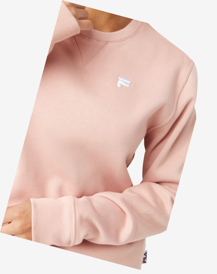 Fila Kieve Sweatshirt Rosas | 69WSQBKAD