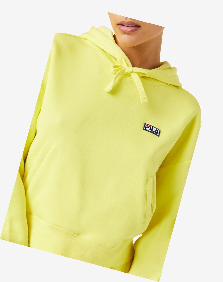 Fila Marina Hoodie 706 Goldfinch | 85SAEMYHZ