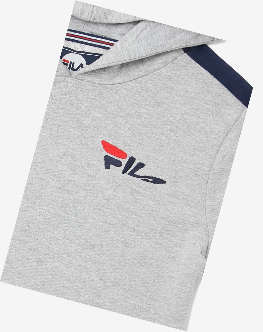 Fila Mindblower Hoodie Gris | 16MQATVSL