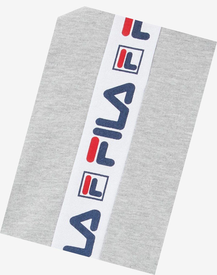 Fila Mindblower Hoodie Gris | 16MQATVSL