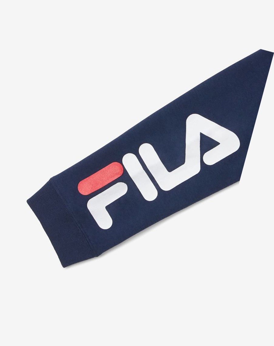 Fila Raglan Hoodie Azul Marino | 02IMHTYKG