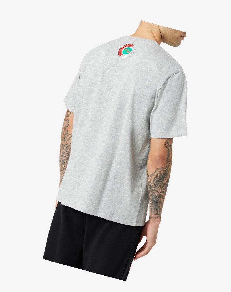 Fila Ryland Tee Gris | 40GSLBTIU