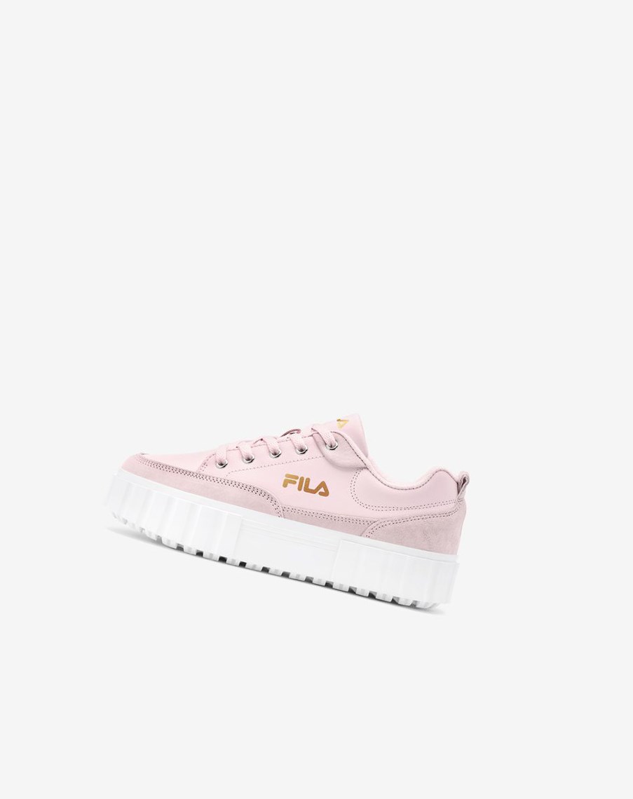 Fila Sandblast Low Sneakers Rosas Blancas Doradas | 13NYKGOAT