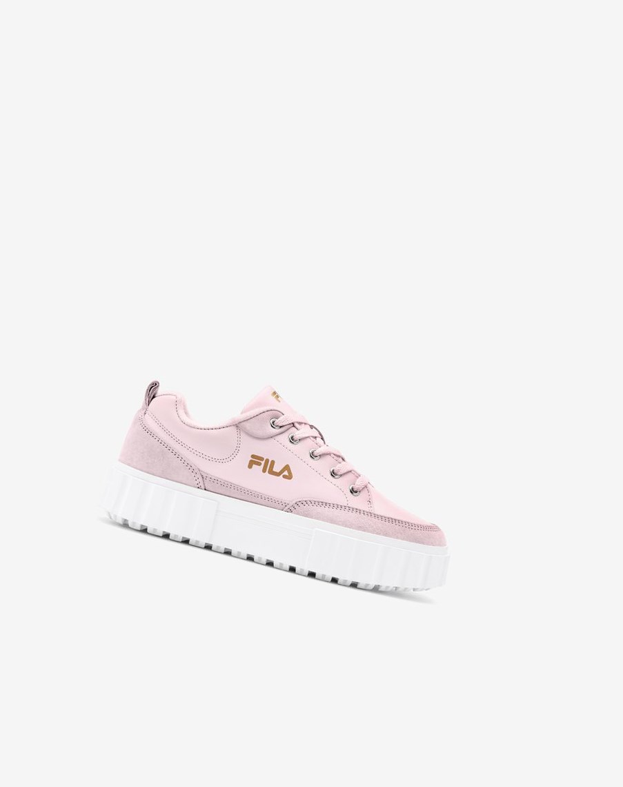 Fila Sandblast Low Sneakers Rosas Blancas Doradas | 13NYKGOAT