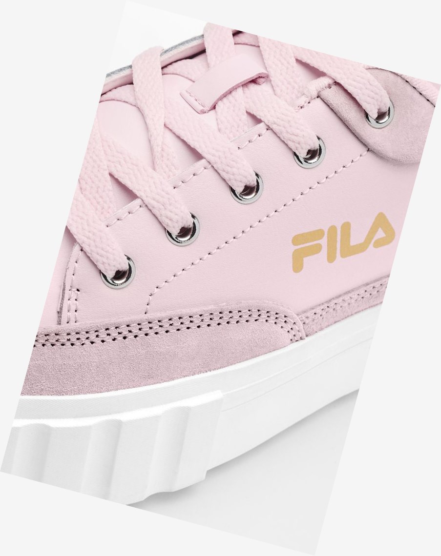 Fila Sandblast Low Sneakers Rosas Blancas Doradas | 54UCXKLJE