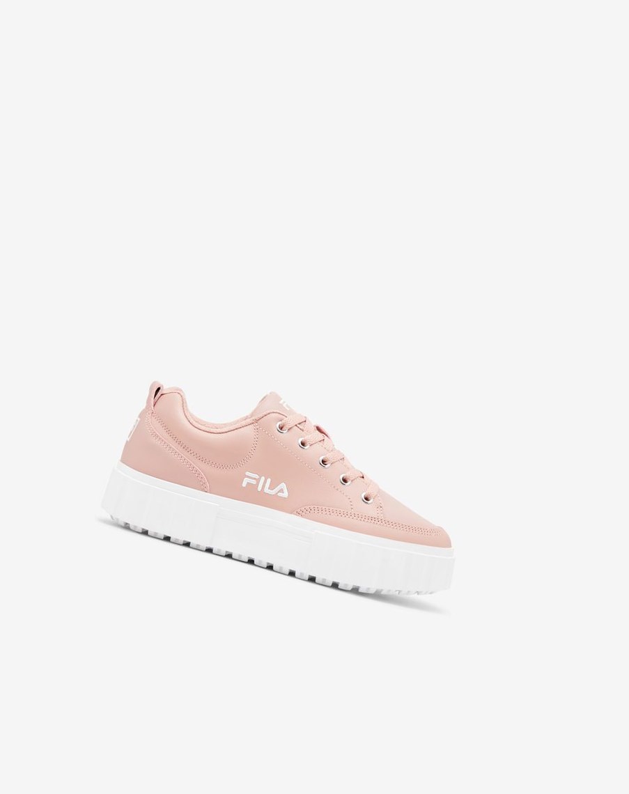 Fila Sandblast Low Sneakers Rosas Rosas Blancas | 07QSYWBHP