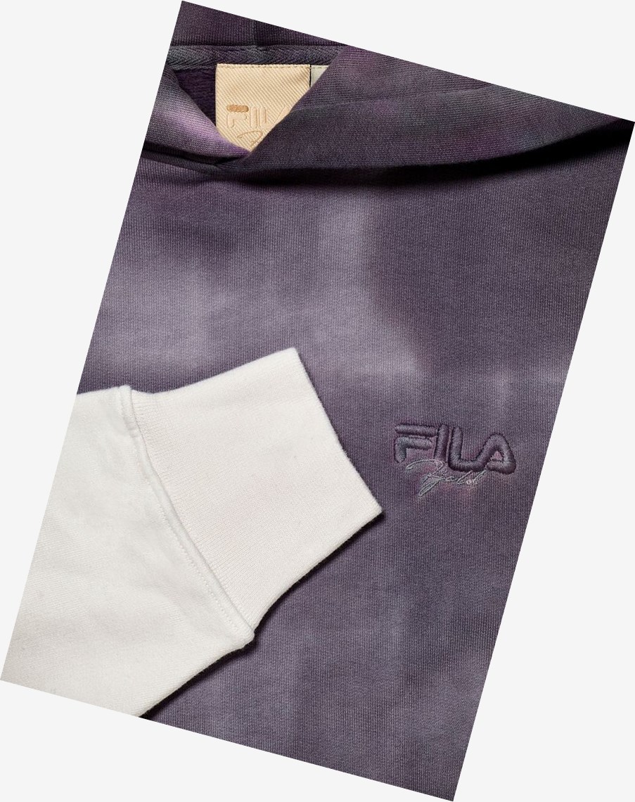 Fila Sigurd Gradient Hoodie Rabbit/Marshm | 64BMZNSFT