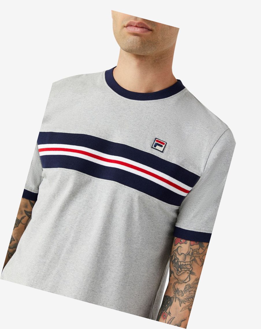 Fila Silver Tee Gris Claro | 28TVXIGRH