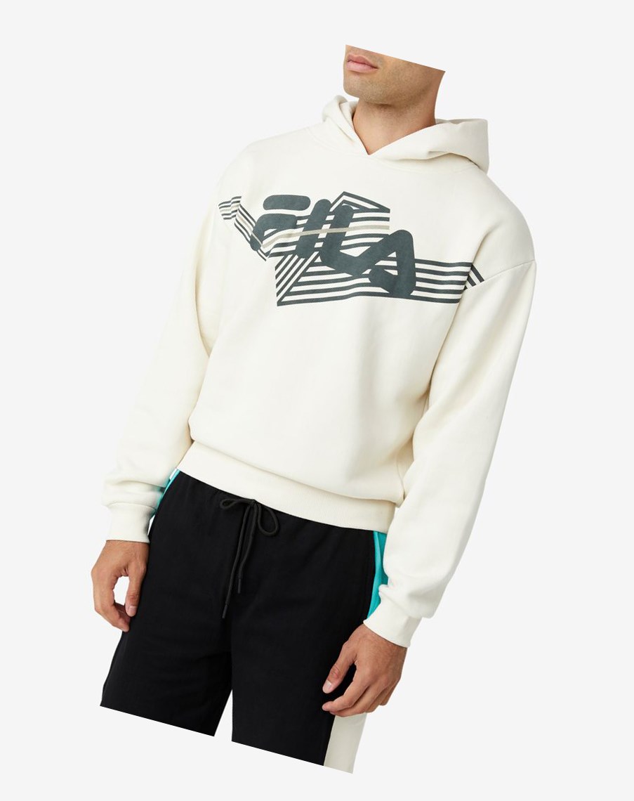 Fila Waldo Hoodie 294 Turtledove / Urban Chic / Vetiver | 37VSPCNGL